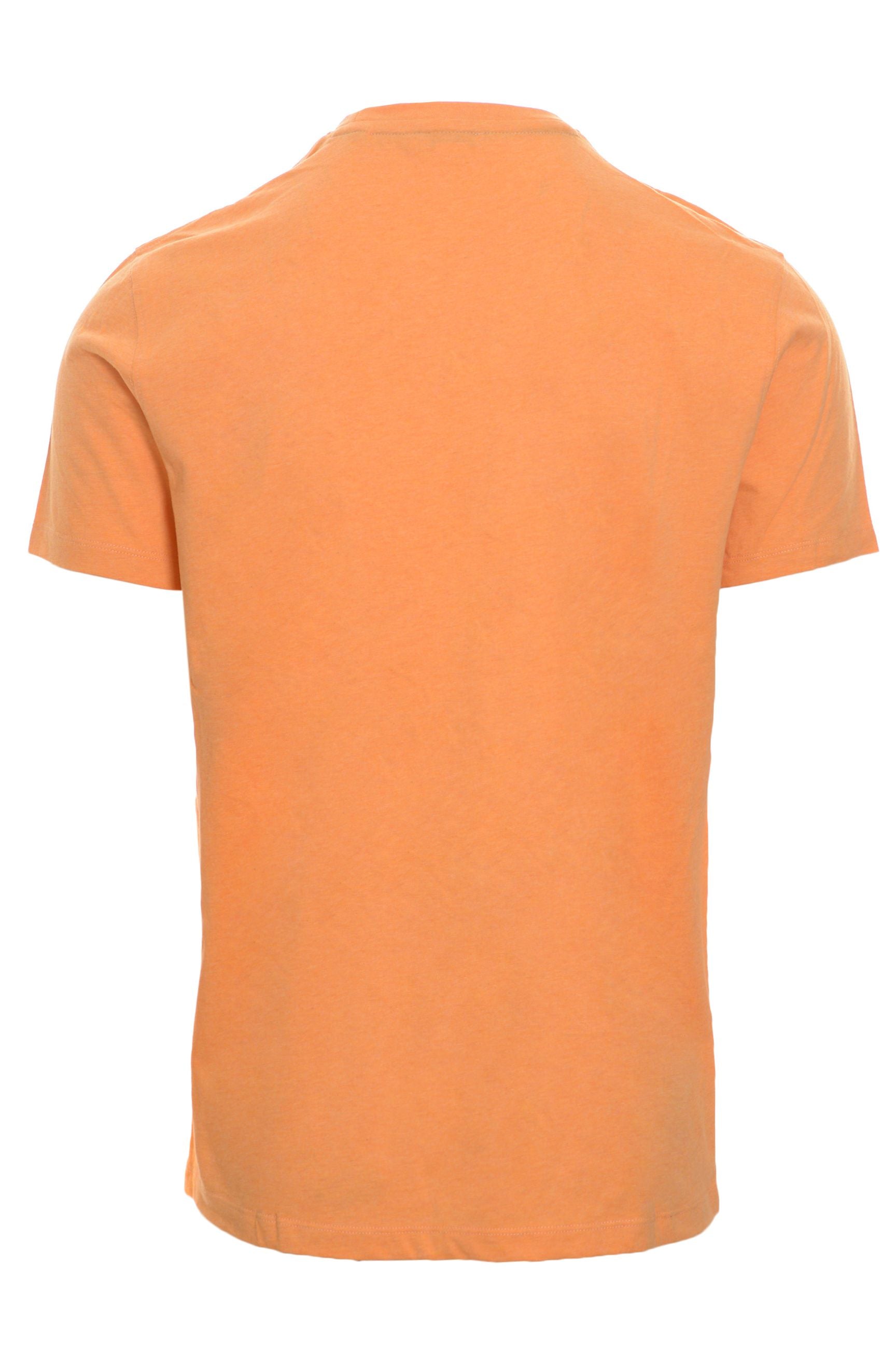 U.S.POLO T-shirt Primavera/Estate Cotone