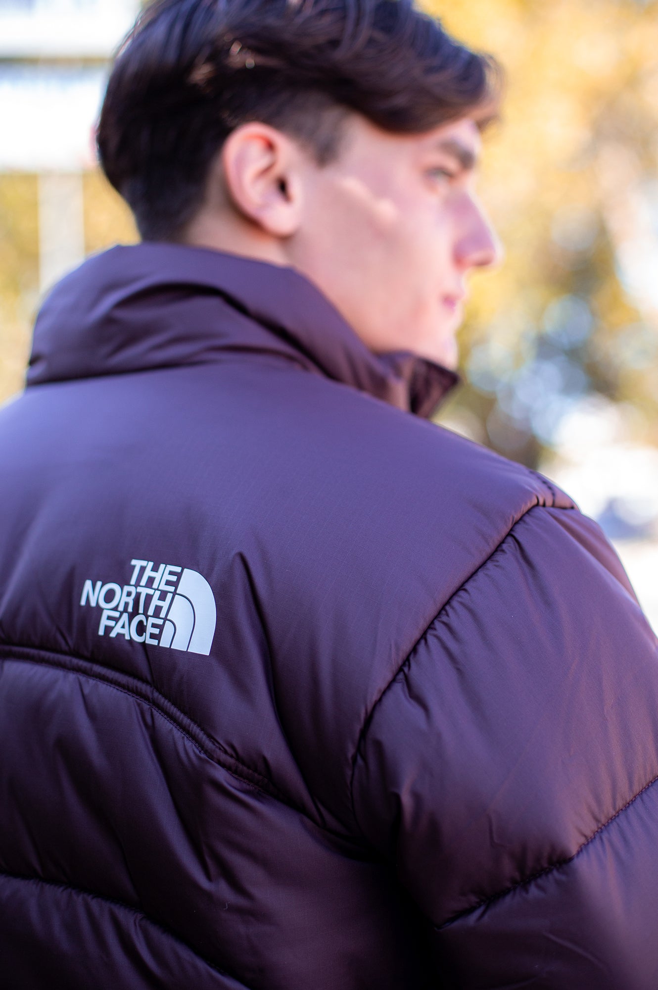 THE NORTH FACE Piumini Autunno/Inverno Poliestere