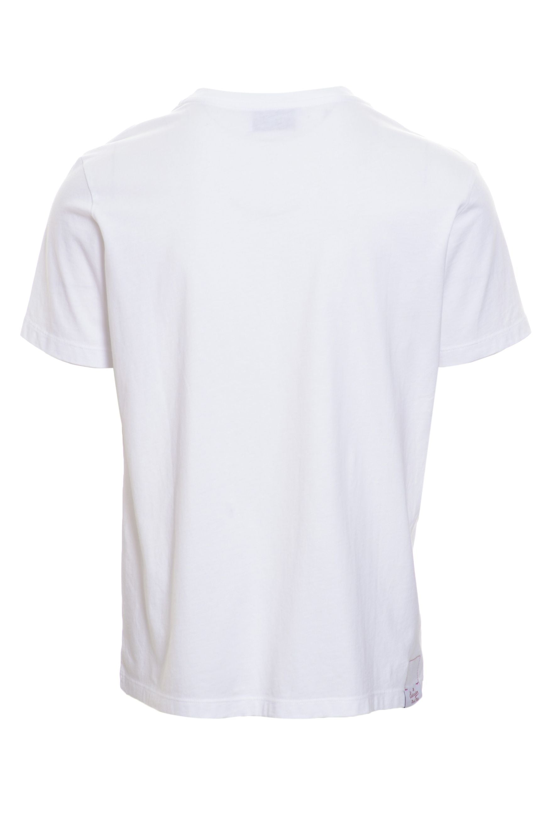 EIDERSCUTUM T-shirt Primavera/Estate Cotone