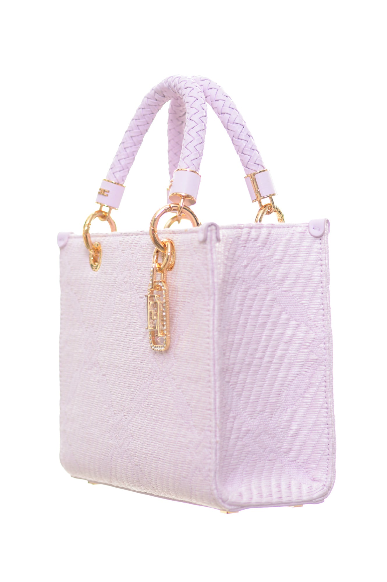 ELISABETTA FRANCHI Borse Primavera/Estate Poliestere