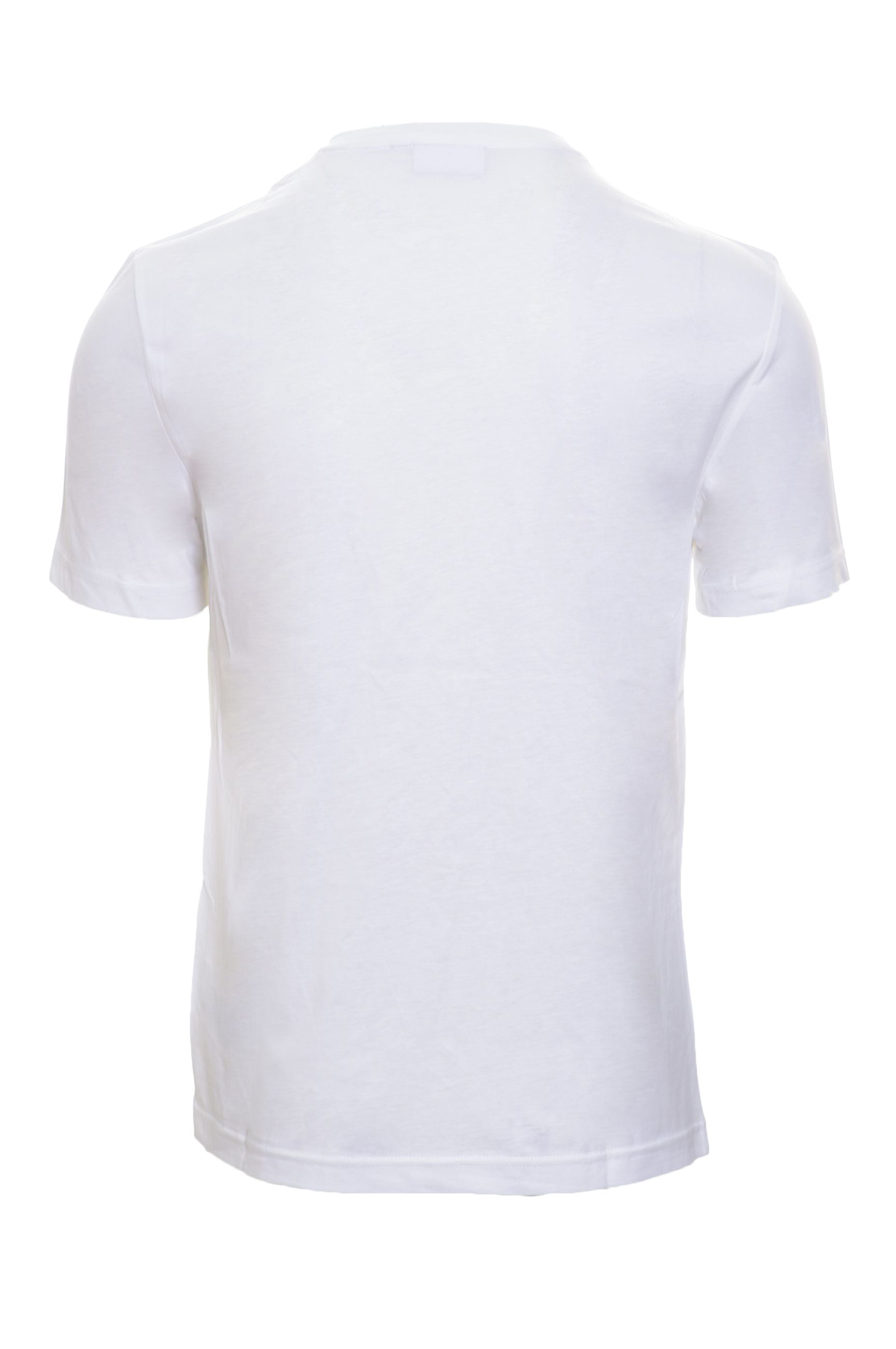 CALVIN KLEIN T-shirt Primavera/Estate Cotone